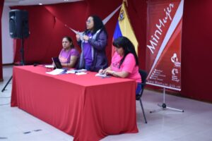 Se realizó Videoconferencia Nacional con los Movimientos Sociales e Institutos Regionales y Municipales de la Mujer